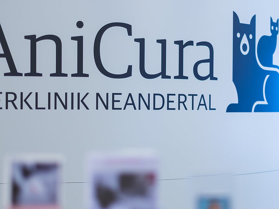 Rezensionen Für Anicura Tierklinik Neandertal Gmbh